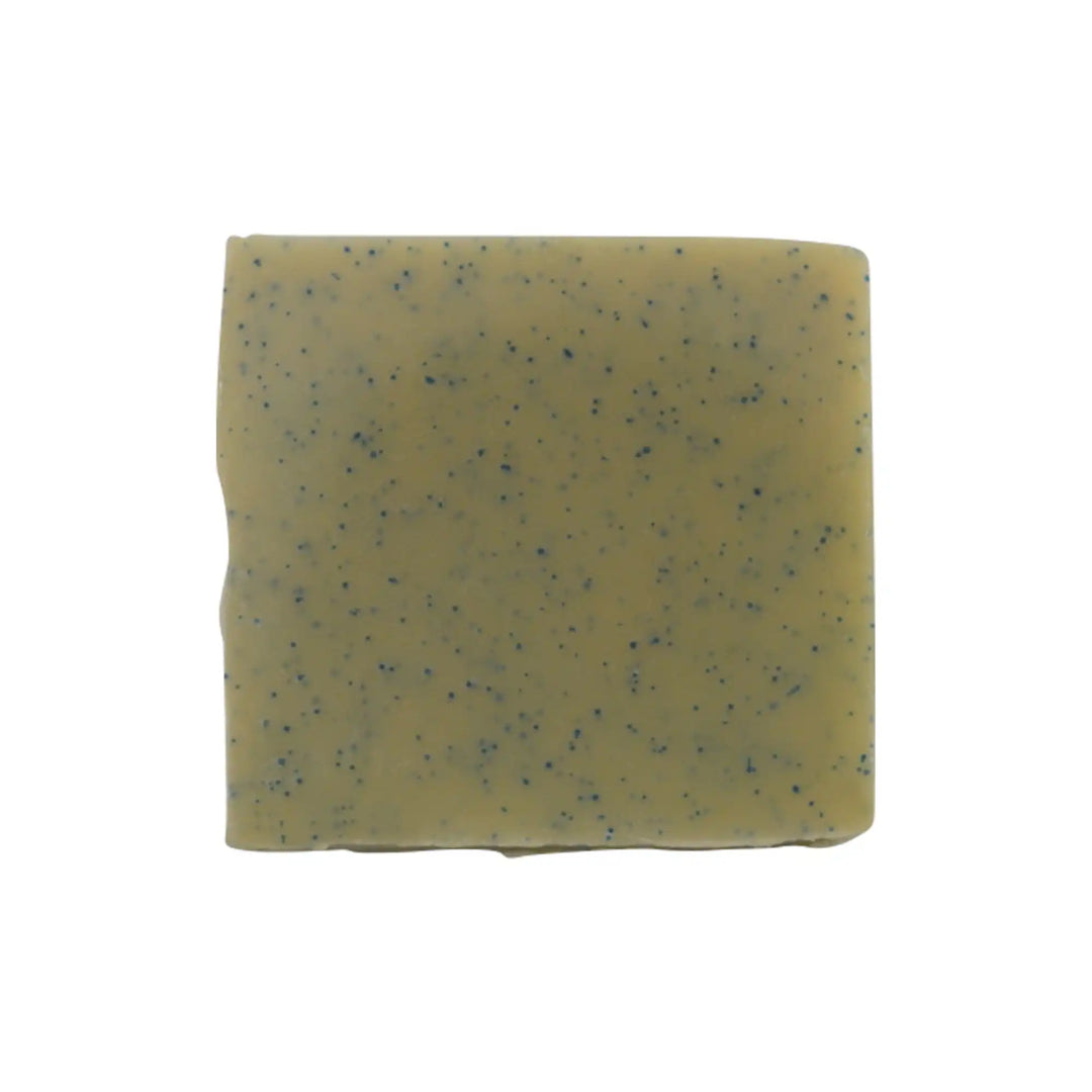 NATURAL HEALING  SOAP COLLECTION